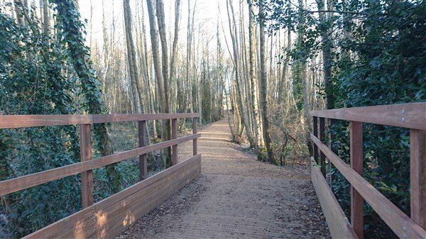 multi use greenway footpath bridge over ditch in the woods berewood