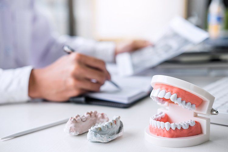 Denture Model at Dentist Office — Liberty, MO — Triplett Dental