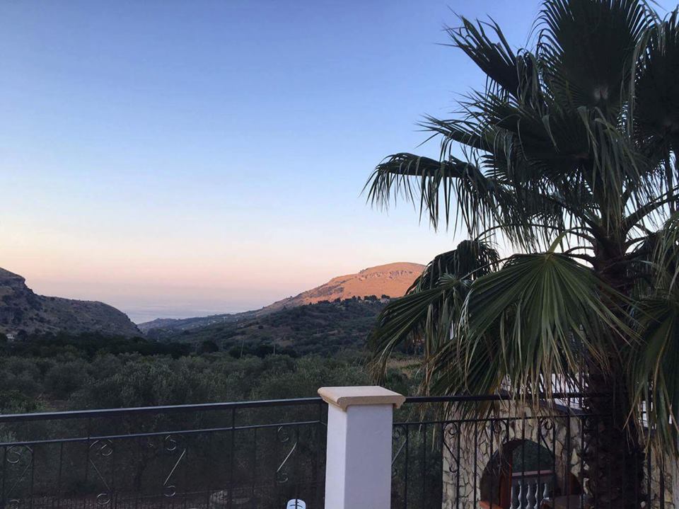 palme e tramonto