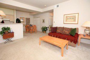 custom decorator interiors