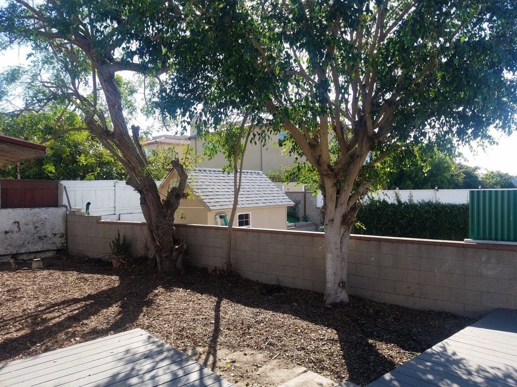 BERYL ST BACKYARD