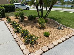 Landscape,Landscaping,Landscape Design,Affordable Landscaping,Flowers,Sod,Garden,Lawn Care,Landscaping on a Budget Sarasota
