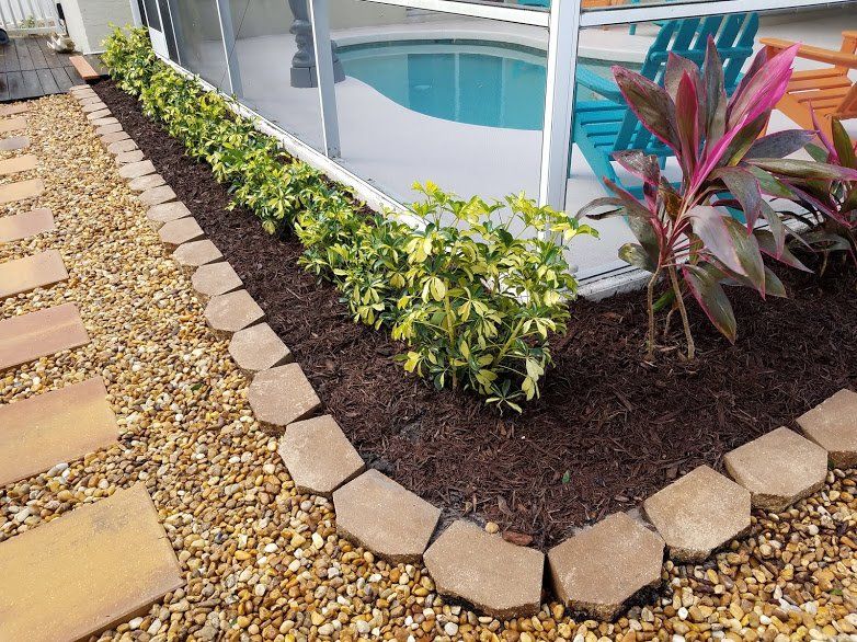 Landscaping on a Budget Sarasota