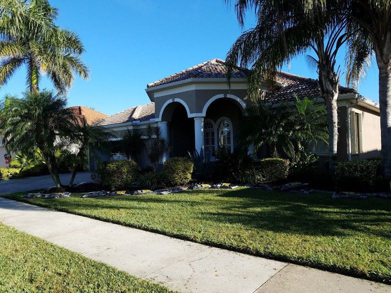 Landscaping on a Budget Sarasota
