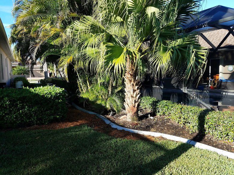 Landscaping on a Budget Sarasota