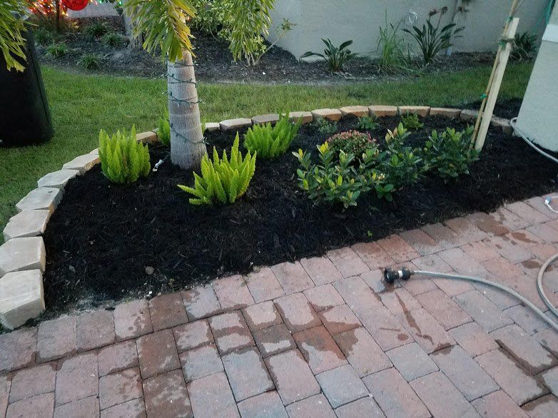 Landscaping on a Budget Sarasota