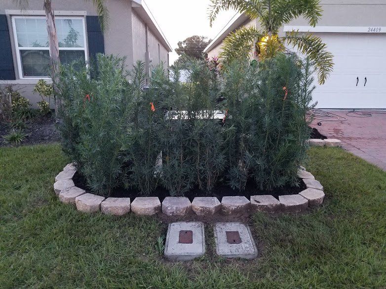 Landscaping on a Budget Sarasota