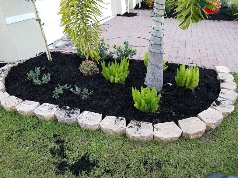 Landscaping on a Budget Sarasota