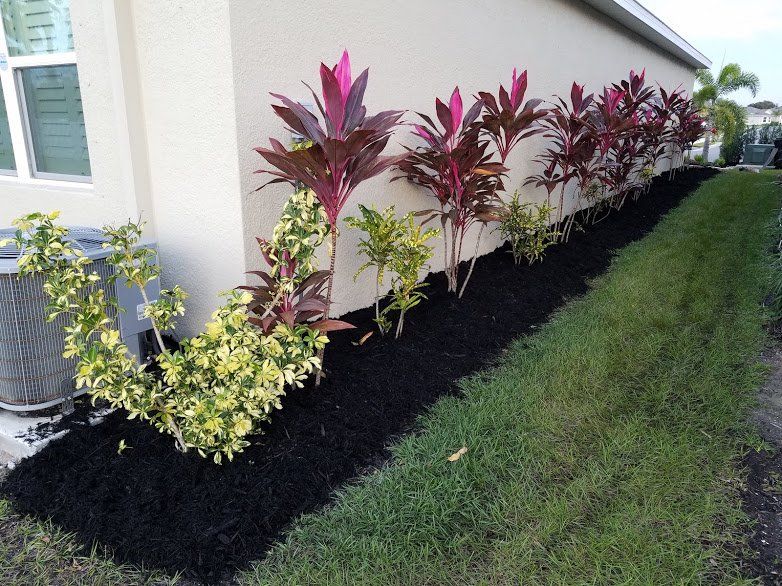 Landscaping on a Budget Sarasota