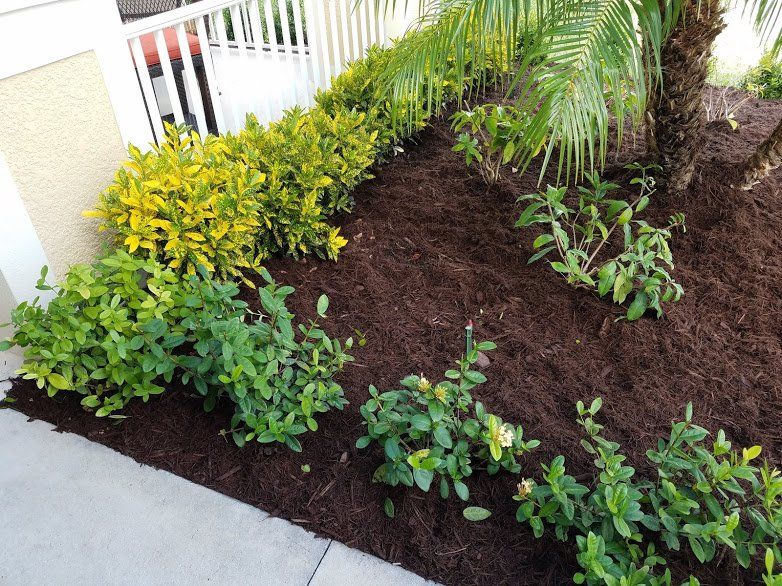 Landscaping on a Budget Sarasota