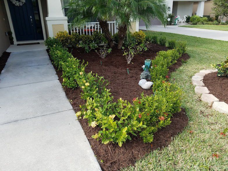 Landscaping on a Budget Sarasota