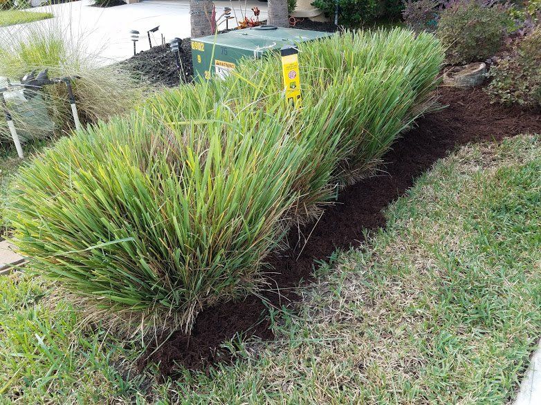 Landscaping on a Budget Sarasota