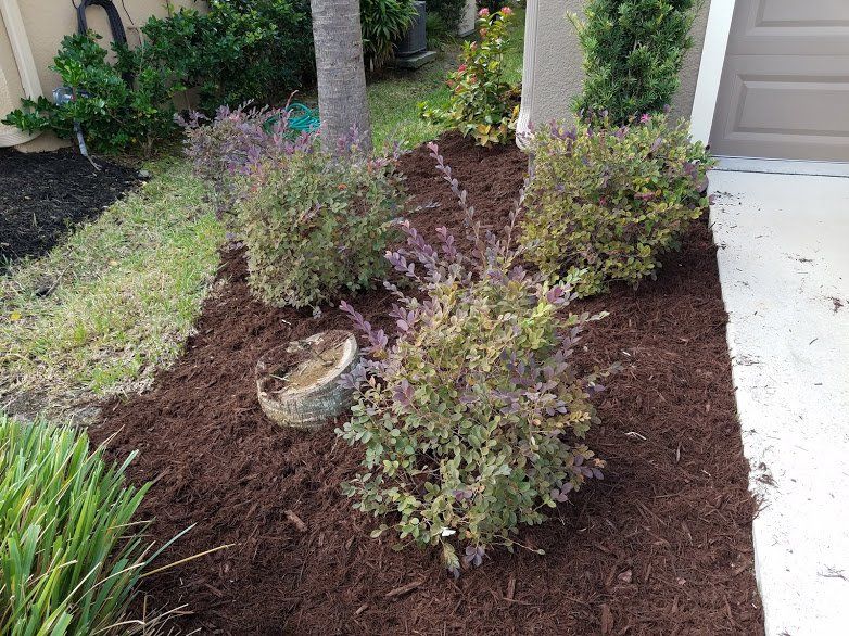 Landscaping on a Budget Sarasota