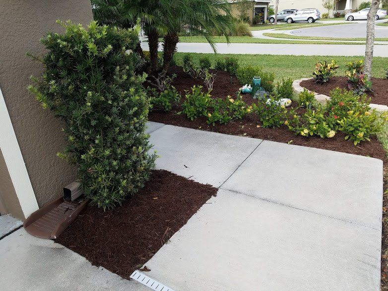 Landscaping on a Budget Sarasota