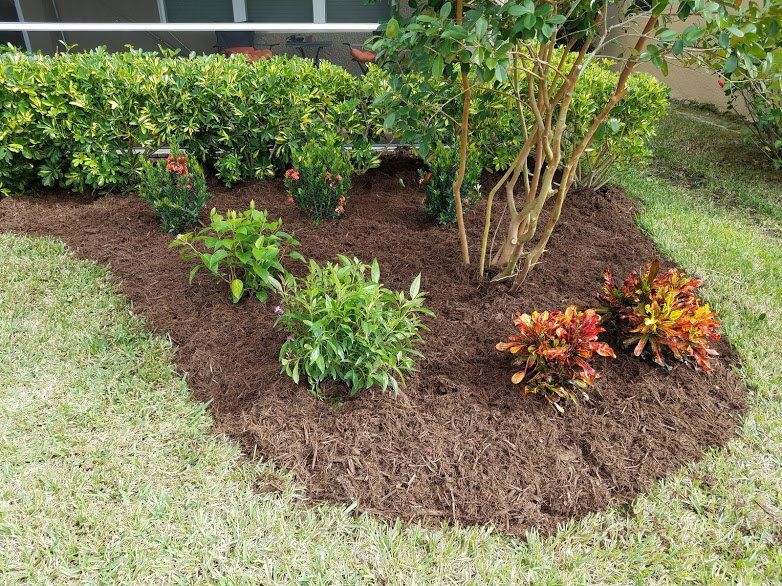 Landscaping on a Budget Sarasota