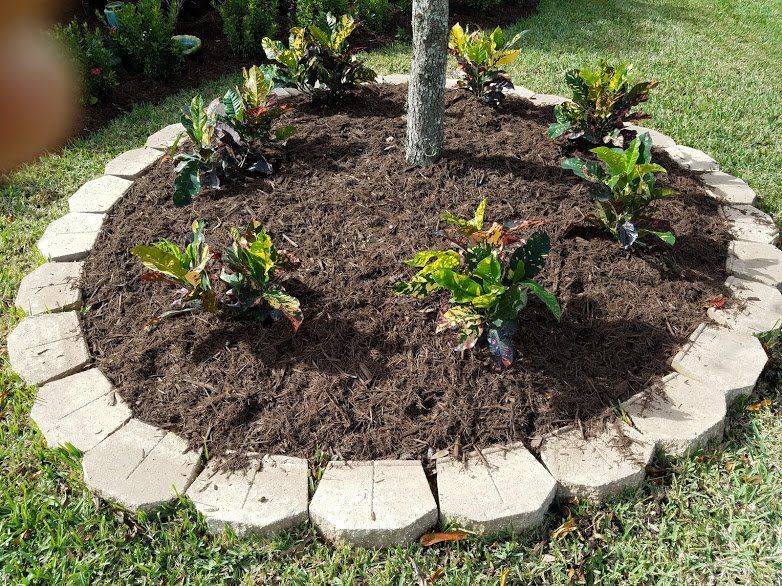 Landscaping on a Budget Sarasota