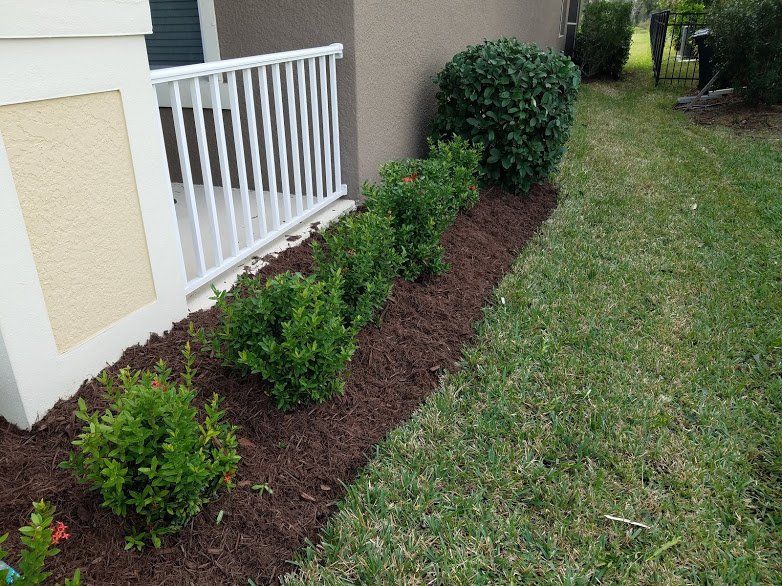Landscaping on a Budget Sarasota