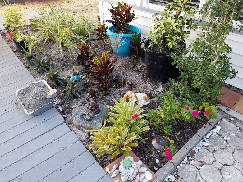 Landscaping on a Budget Sarasota