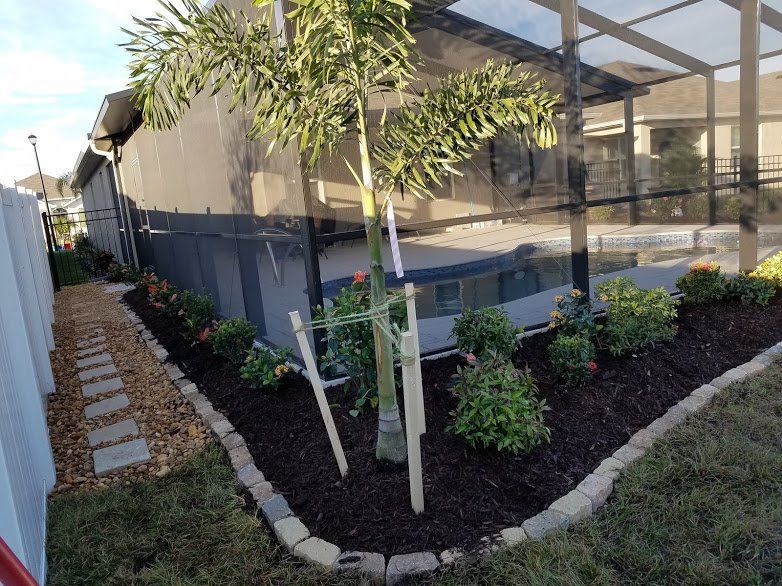 Landscape,Landscaping,Landscape Design,Affordable Landscaping,Flowers,Sod,Garden,Lawn Care,Landscaping on a Budget Sarasota