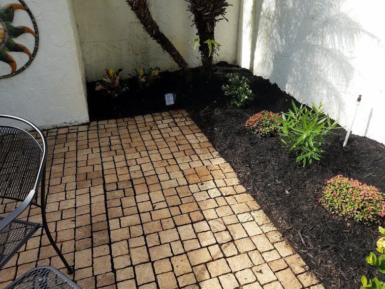 Landscaping on a Budget Sarasota