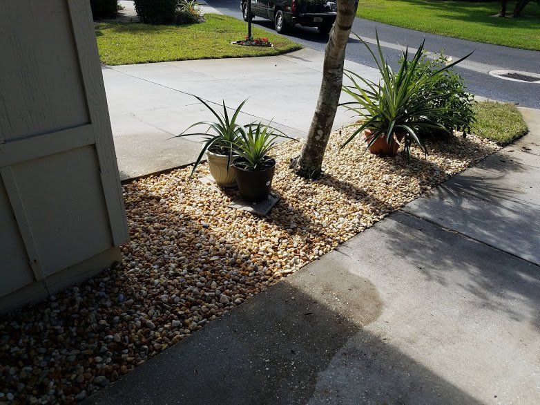 Landscaping on a Budget Sarasota