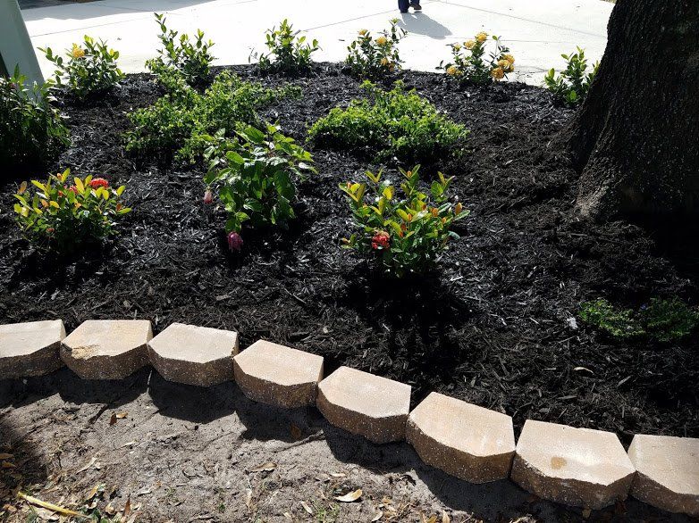 Landscaping on a Budget Sarasota