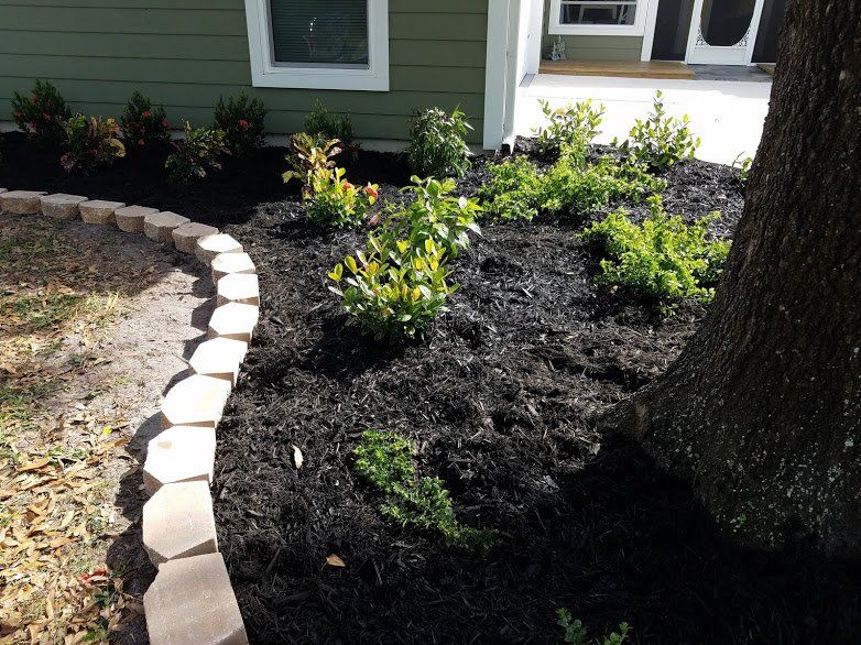 Landscaping on a Budget Sarasota