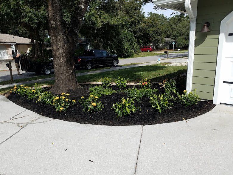 Landscaping on a Budget Sarasota