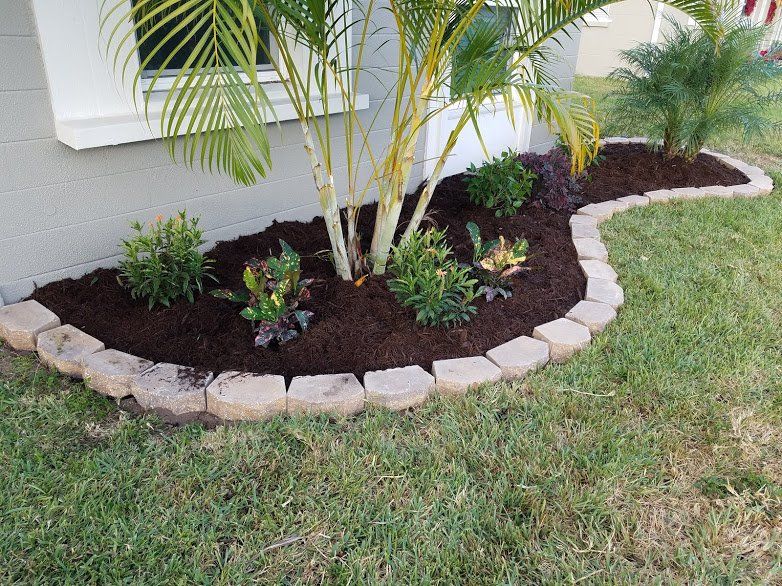 Landscaping on a Budget Sarasota
