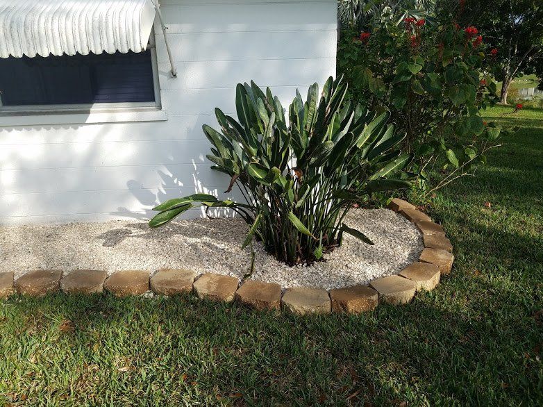 Landscaping on a Budget Sarasota