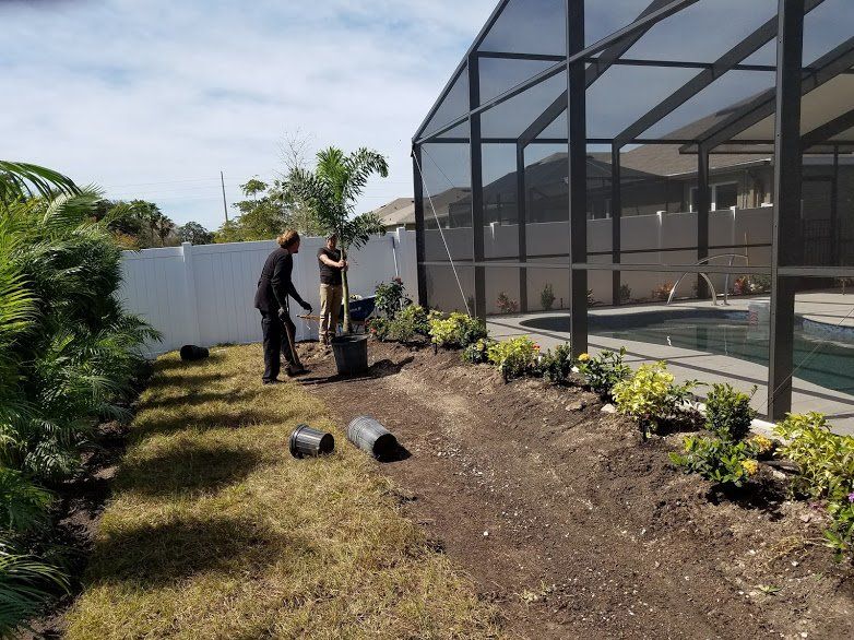 Landscape,Landscaping,Landscape Design,Affordable Landscaping,Flowers,Sod,Garden,Lawn Care,Landscaping on a Budget Sarasota