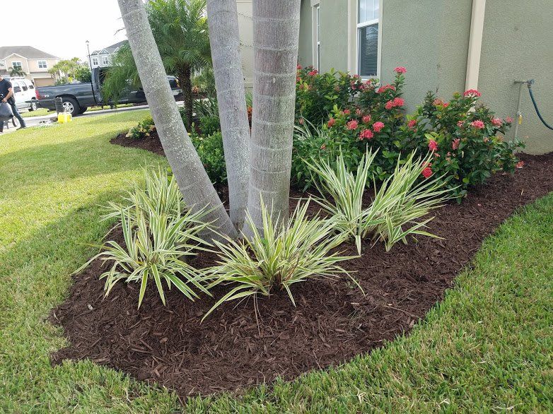 Landscaping on a Budget Sarasota