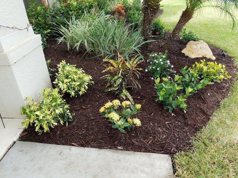 Landscaping on a Budget Sarasota