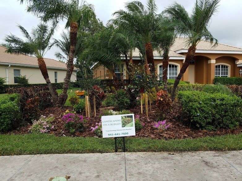 Landscaping on a Budget Sarasota