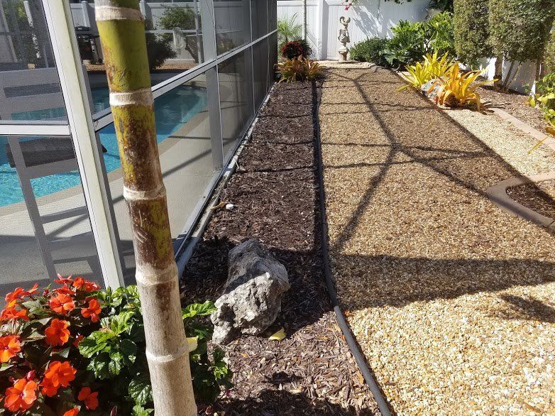 Landscaping on a Budget Sarasota