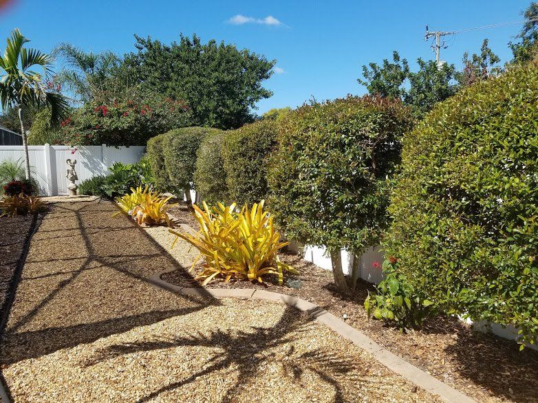 Landscaping on a Budget Sarasota