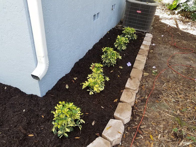 Landscaping on a Budget Sarasota