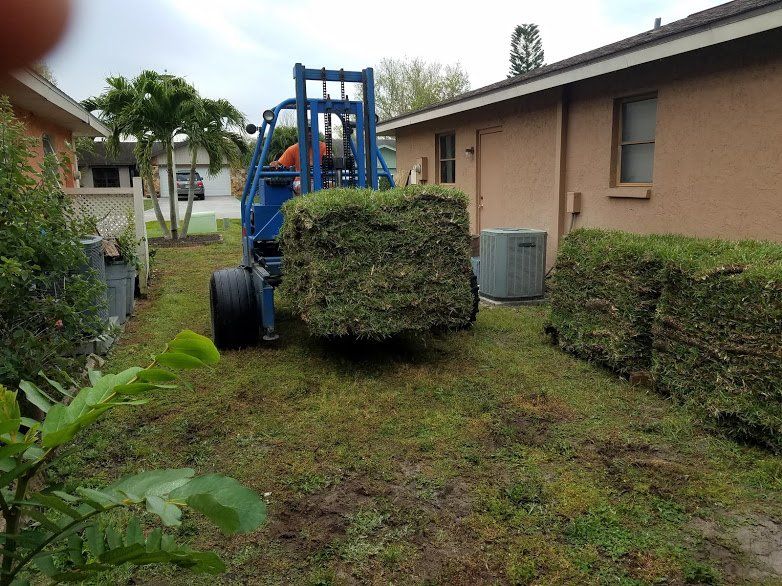 Landscape,Landscaping,Landscape Design,Affordable Landscaping,Flowers,Sod,Garden,Lawn Care,Landscaping on a Budget Sarasota