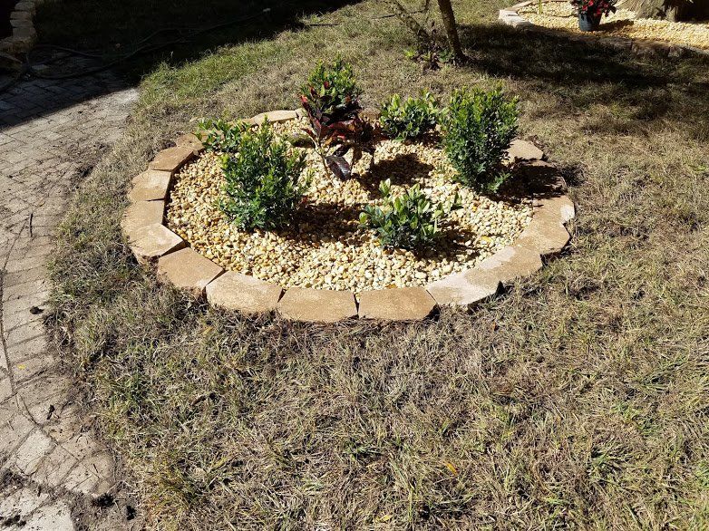 Landscaping on a Budget Sarasota