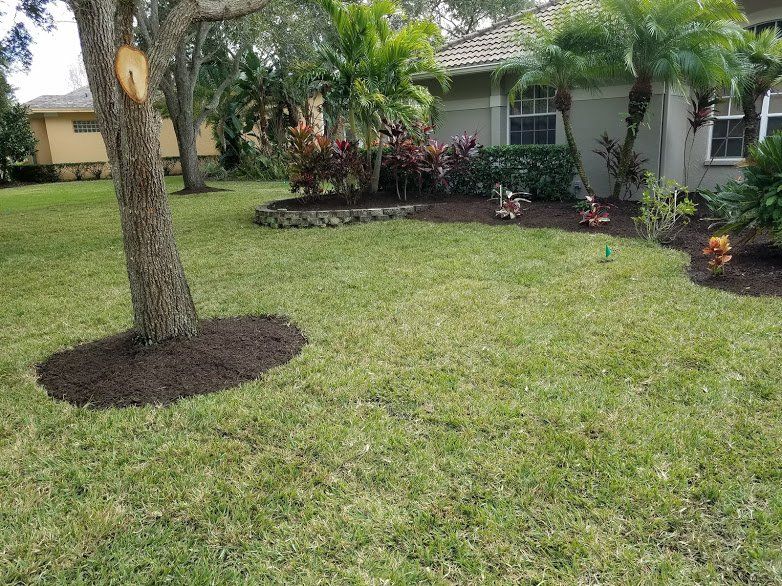 Landscaping on a Budget Sarasota
