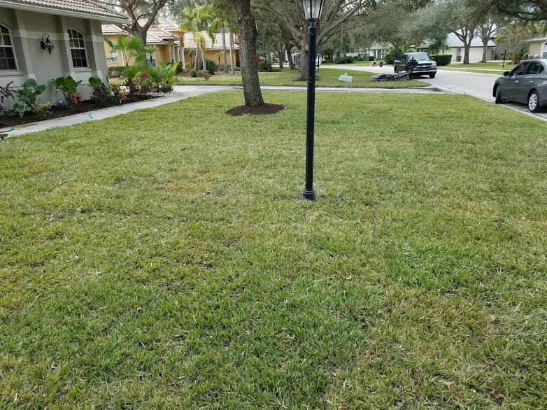 Landscaping on a Budget Sarasota