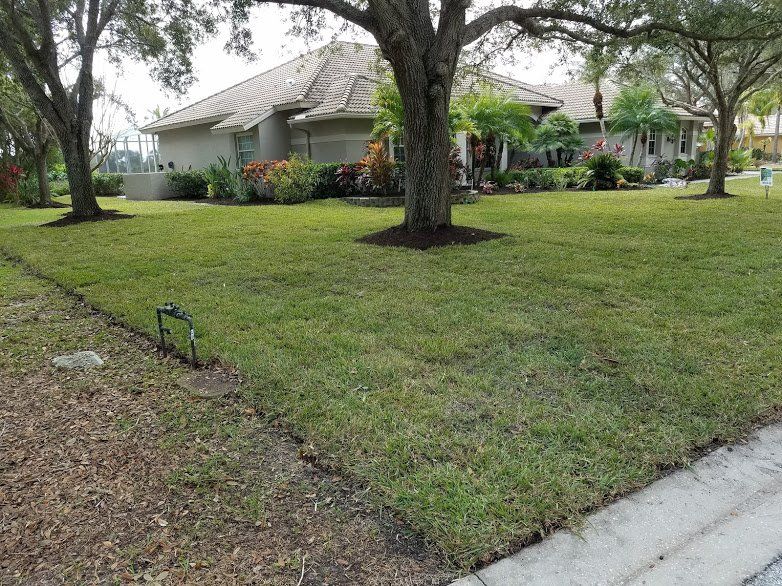 Landscaping on a Budget Sarasota