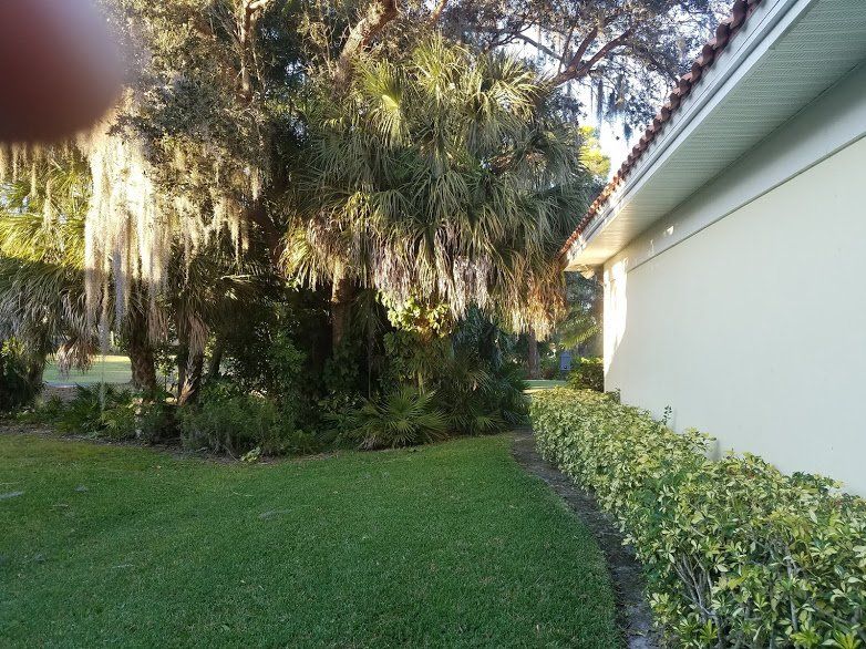Landscaping on a Budget Sarasota