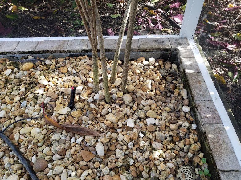 Landscaping on a Budget Sarasota