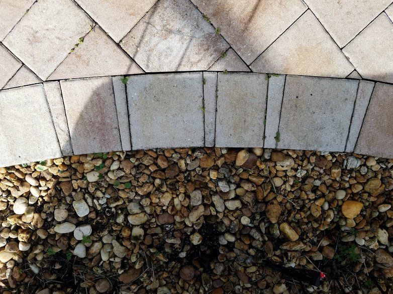 Landscaping on a Budget Sarasota