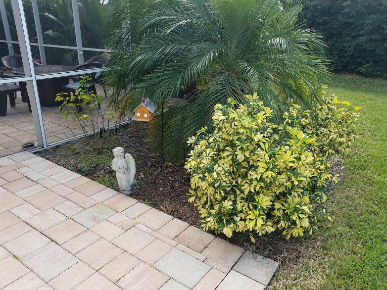 Landscaping on a Budget Sarasota