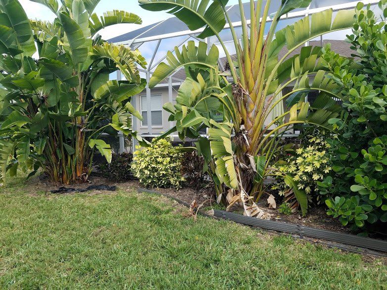 Landscaping on a Budget Sarasota