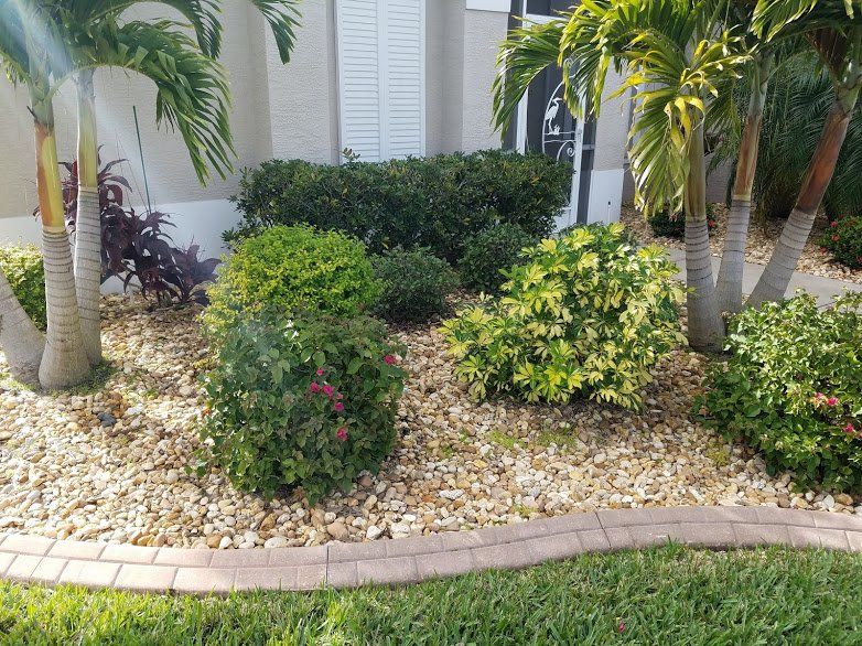 Landscaping on a Budget Sarasota