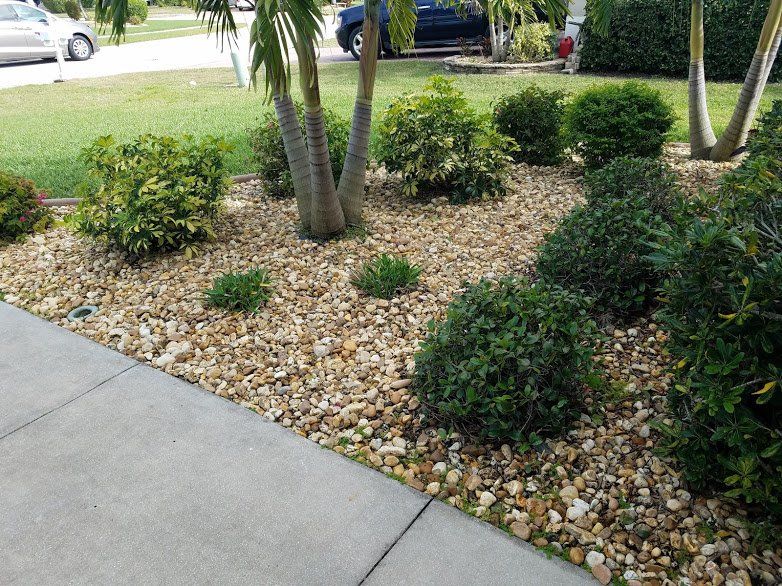 Landscaping on a Budget Sarasota