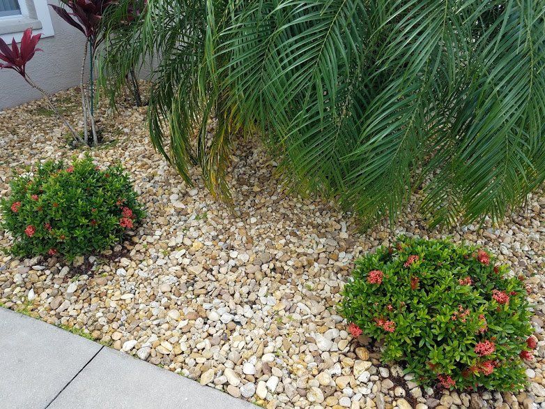 Landscaping on a Budget Sarasota